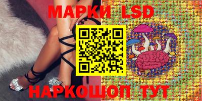 Альфа ПВП Аргун