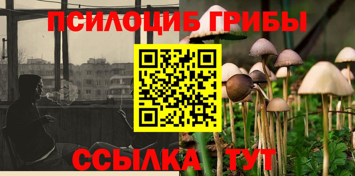 Галлюциногенные грибы GOLDEN TEACHER  Вход с VPN  Волжский  Галлюциногенные грибы Psilocybe 