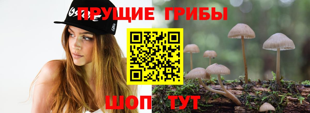 Псилоцибиновые грибы MAGIC MUSHROOMS Волжский